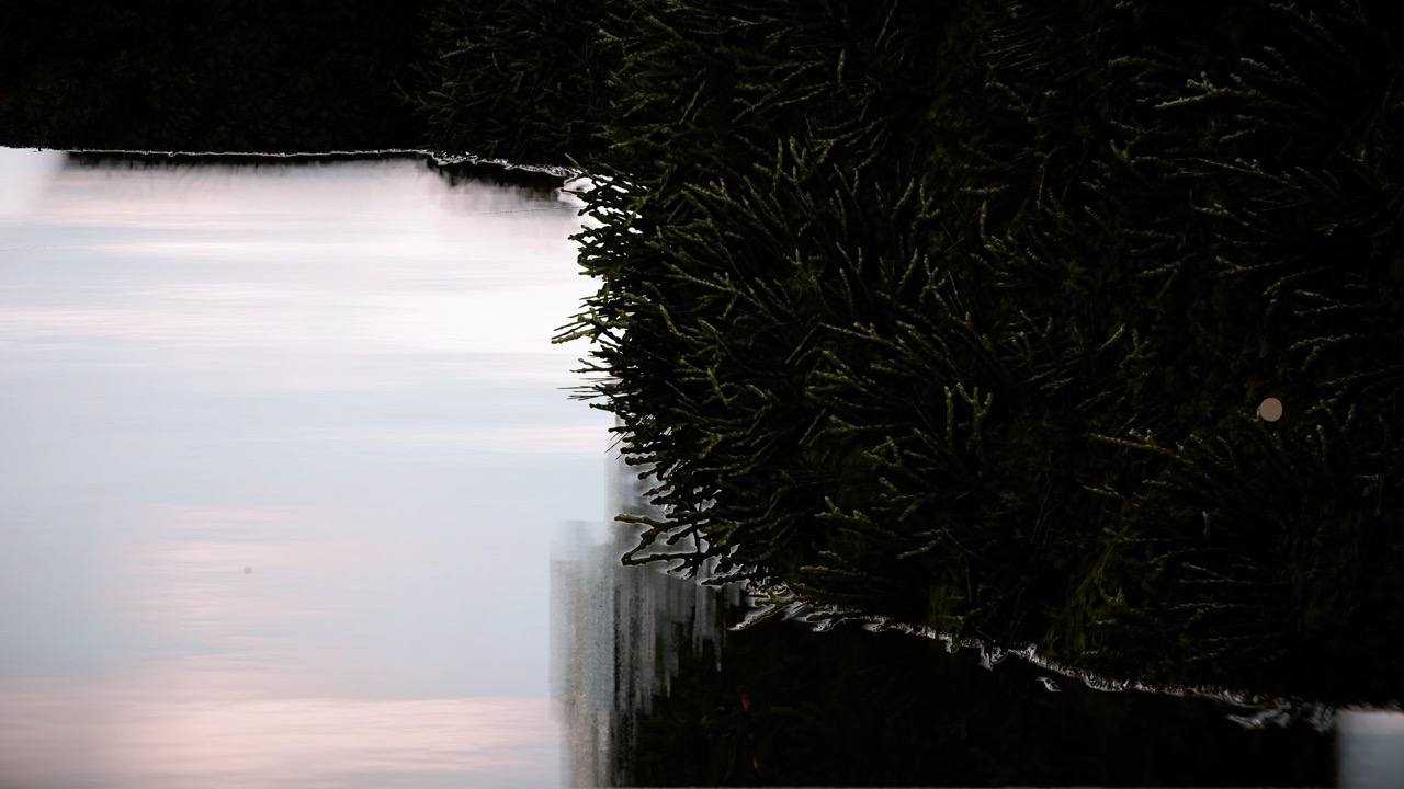 Studies on Breaking Immersion